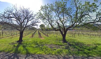 Solorio Family Wines