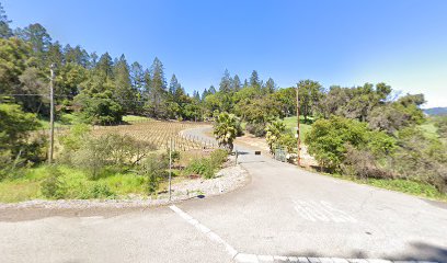 Kerry's Vineyard