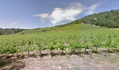 Los Chamizal Vineyards