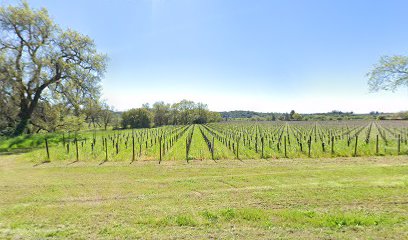 Alexander Johnson's Valley Wines