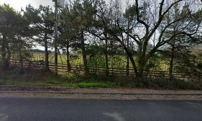 Russian River Valley AVA