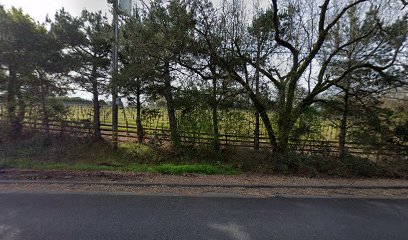 Russian River Valley AVA