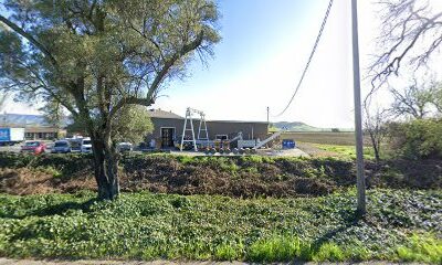 Carneros Wine Company - Scarlett Vineyard