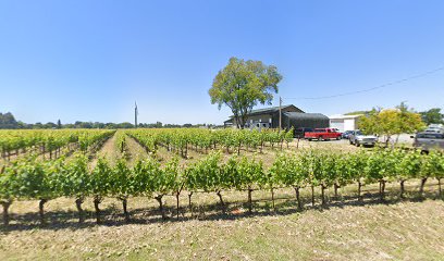 Honey B Vineyard