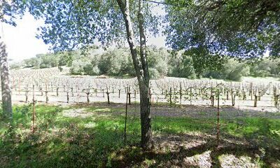 Bates Ranch | Janaca Vineyards