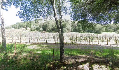 Bates Ranch | Janaca Vineyards