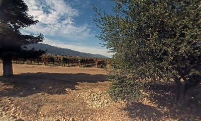 McIntyre Vineyards