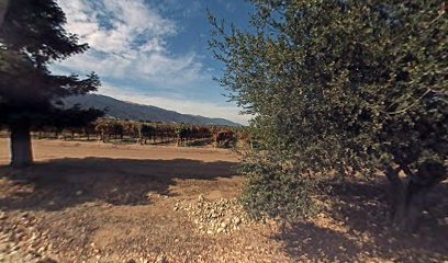 McIntyre Vineyards