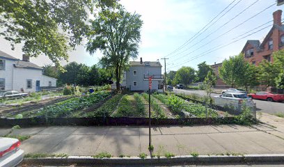 Liberty Street Farm