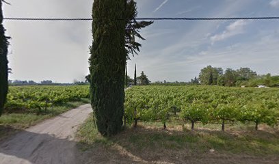 Black Crowe Vineyards