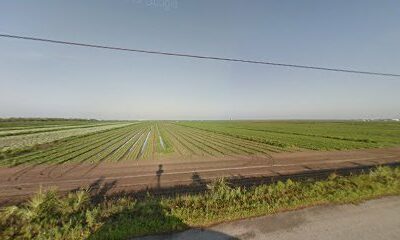 Mid-Florida Farms Inc