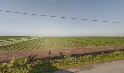 Mid-Florida Farms Inc