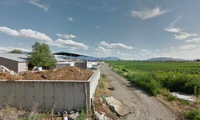 Finch Family Farm INC