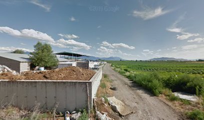 Finch Family Farm INC
