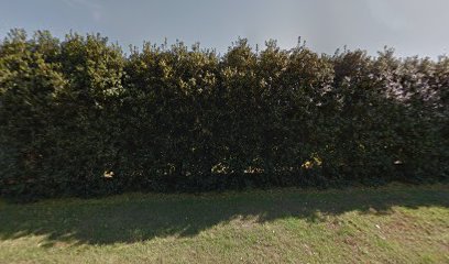 Thomas Bro Tree Farm