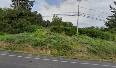 Hickory Hill Farms