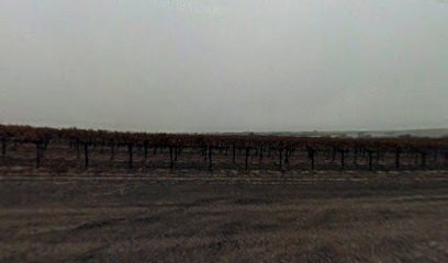 Robert Hall Vineyards LLC